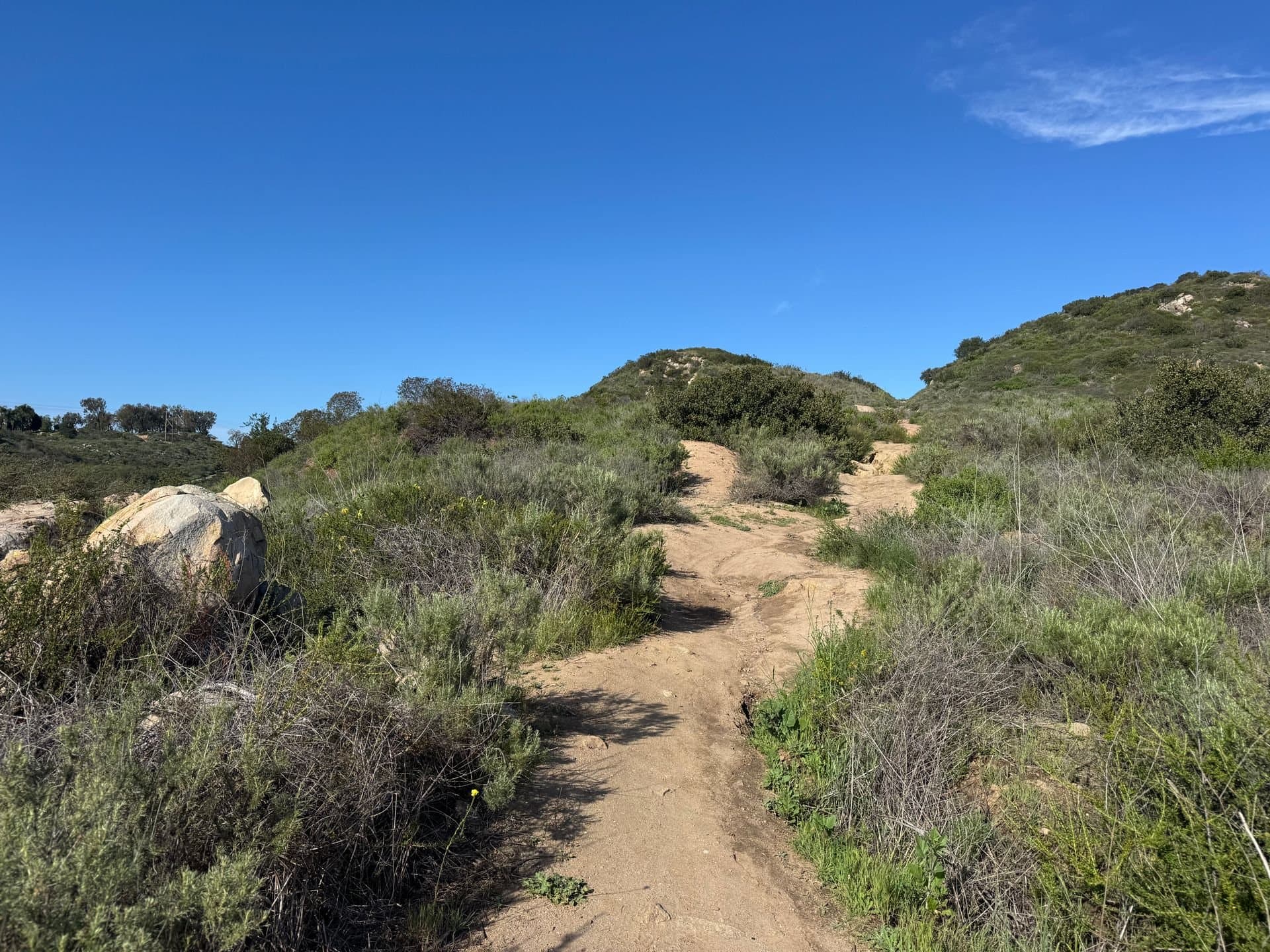 A trail climbing through coastal-sage hills in San Diego County