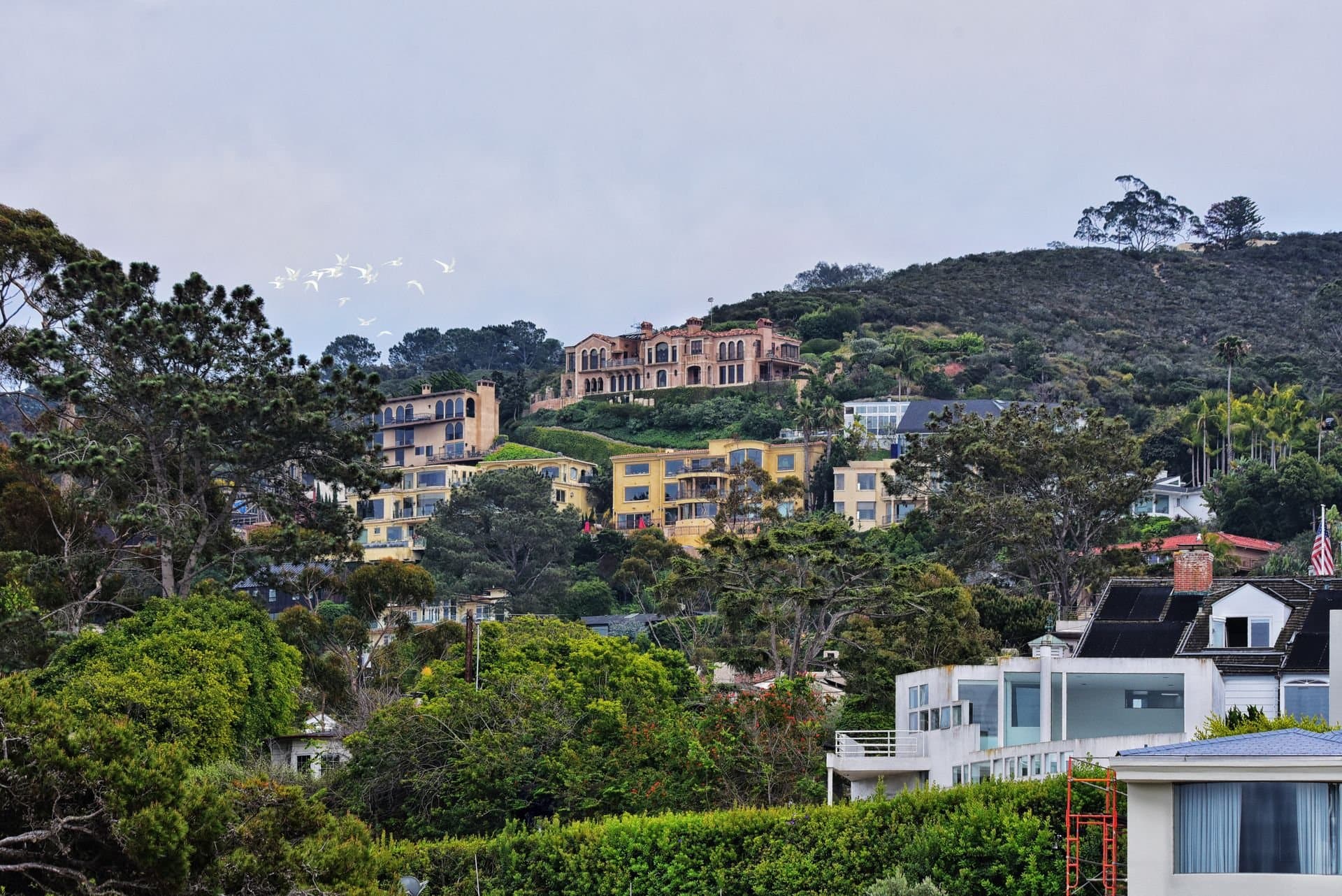 Hillside homes tucked into canyon greenery in mid-city San Diego