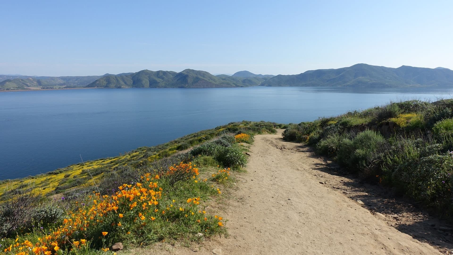 A lakeside trail lined with spring poppies