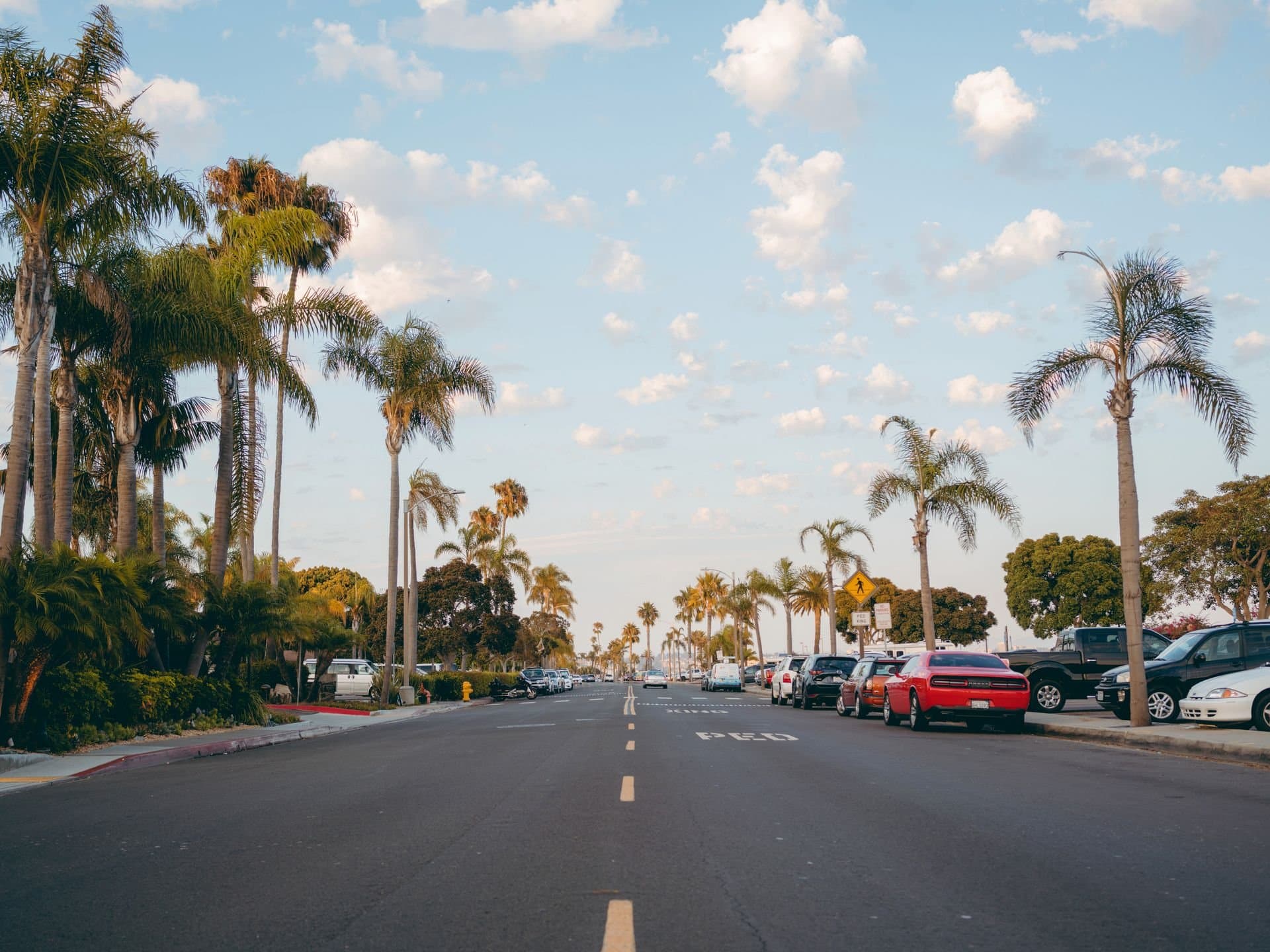 A palm-lined residential street in San Diego