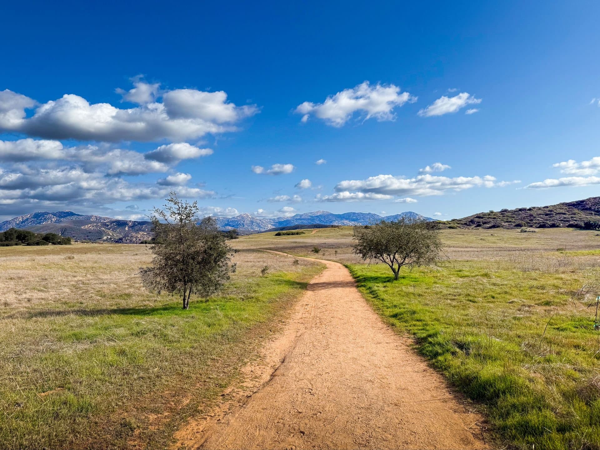 Open grassland and distant peaks in southern San Diego County