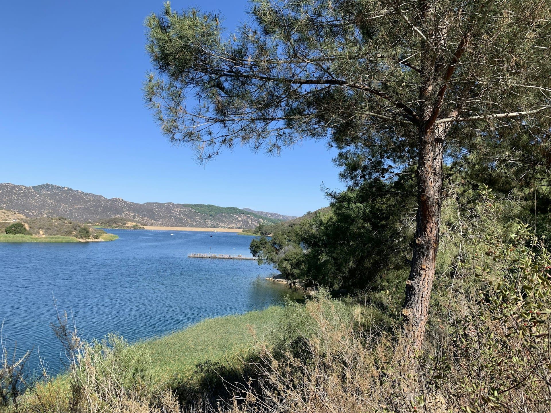 A tree-lined lakeshore in the hills near Rancho Bernardo