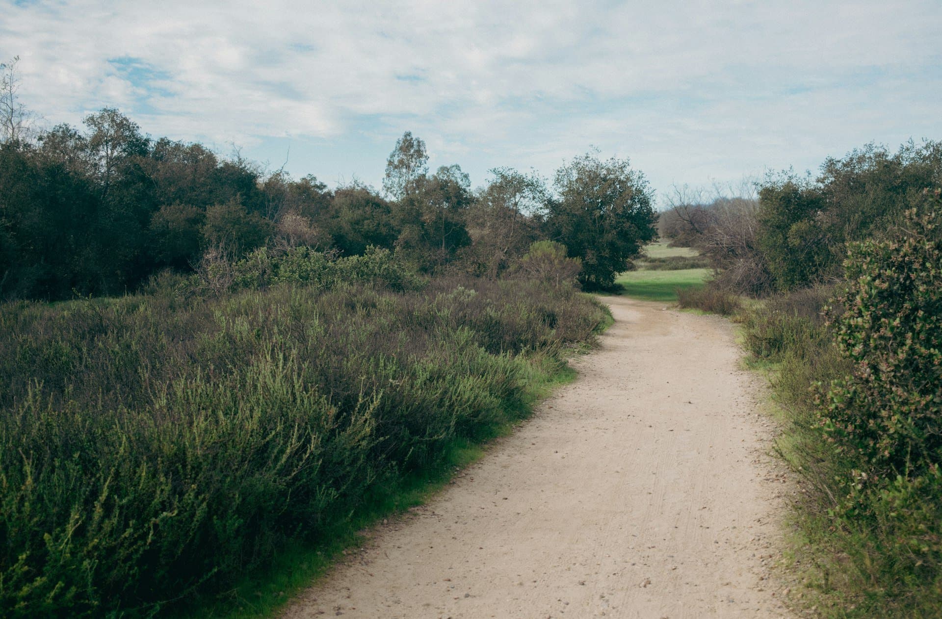 A trail winding through Los Peñasquitos Canyon Preserve