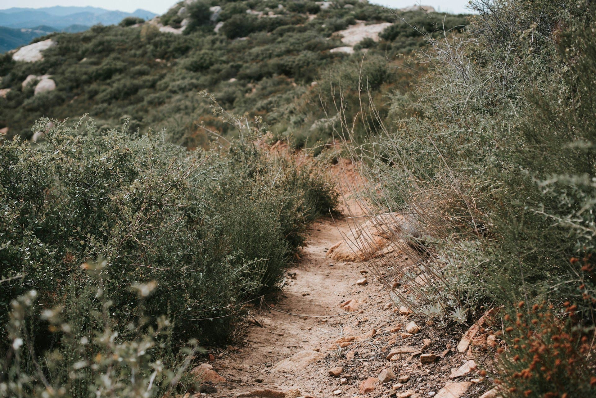 A trail on Manzanita Peak above San Ysidro