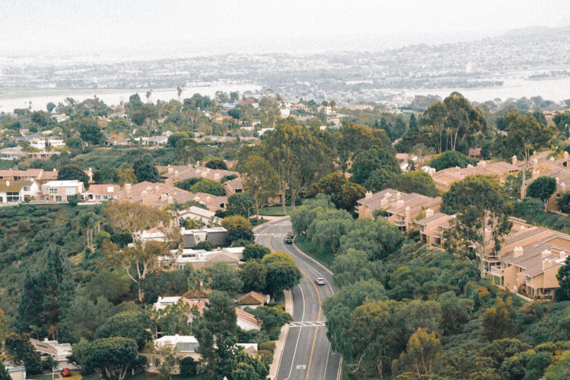 A winding road through leafy suburban San Diego homes