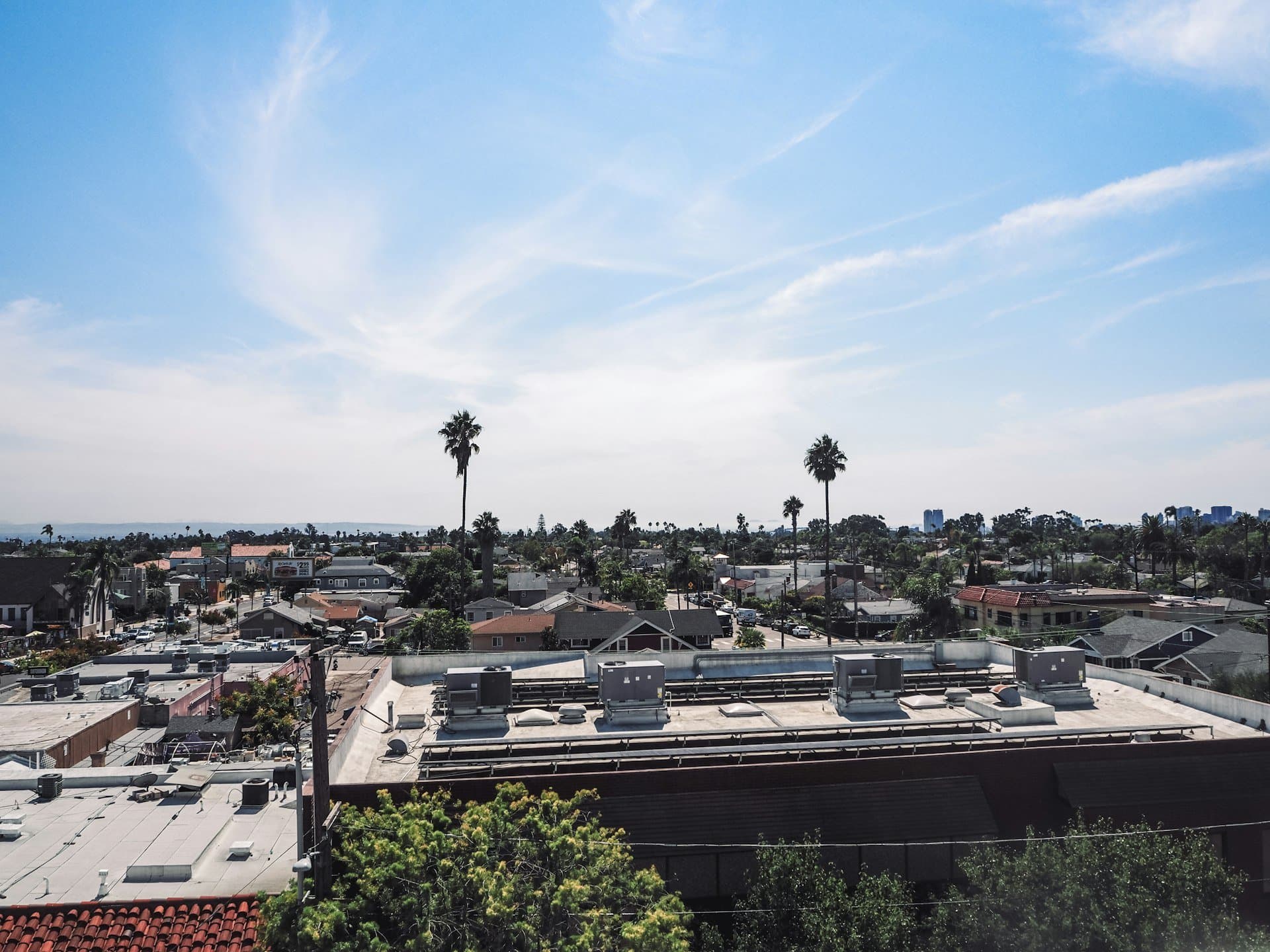 Rooftop view over the mid-city with palms and the skyline beyond